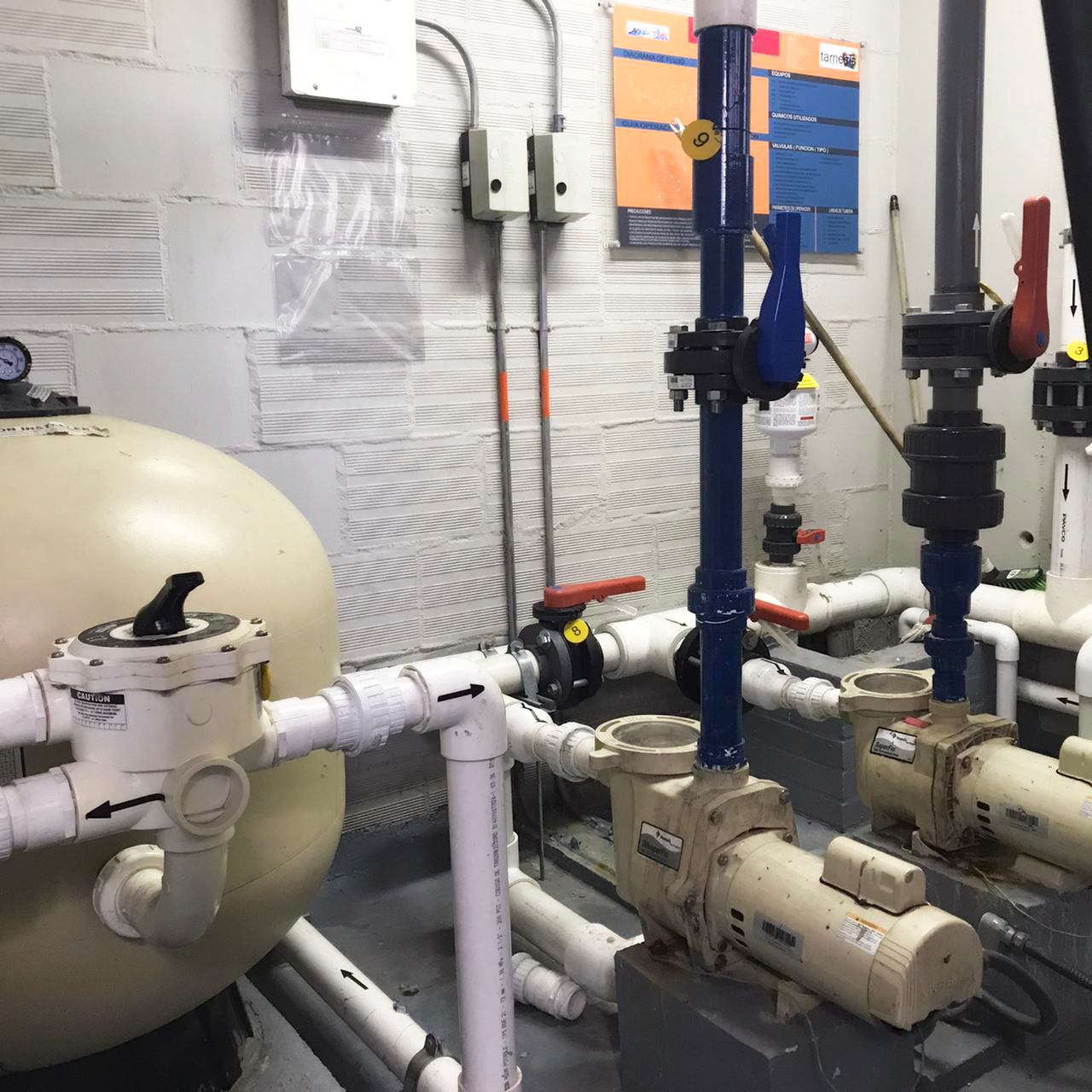 WhatsApp Image 2021 08 04 at 12.58.55 PM